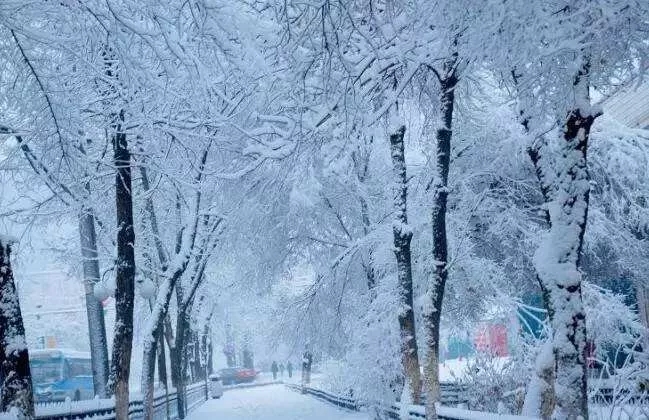 电伴热坡道融雪 